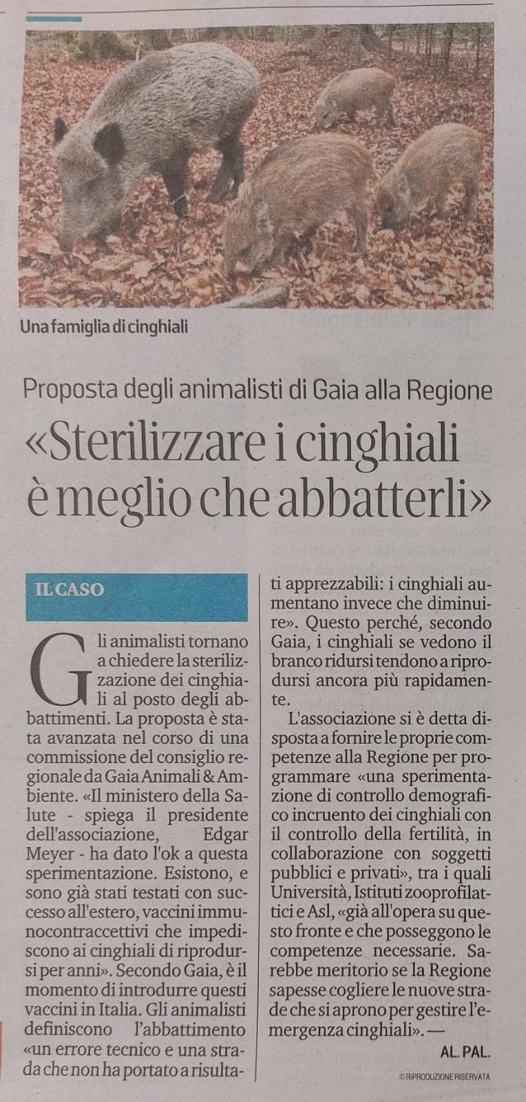 secolo xix 11.2.2023 cinghiali 50bd2f1e-bd35-4e8f-844f-d4e3e4cfc463